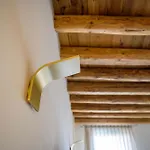 Apartamento Palazzo Carpediem- In The Heart Of Prato Della Valle