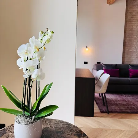 Apartament Palazzo Carpediem-prato Della Valle *