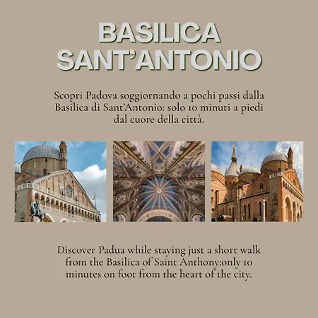 Palazzo Carpediem- In The Heart Of Prato Della Valle Apartment
